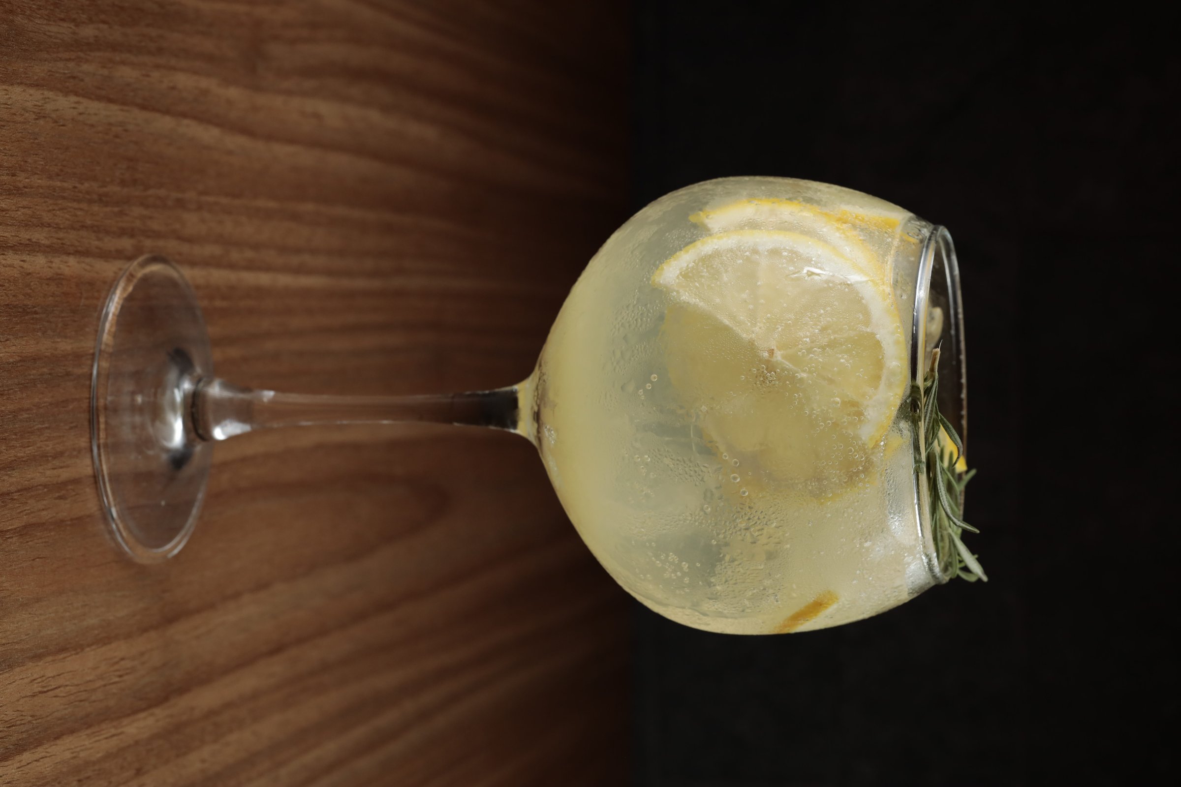 Gin Tônica Premium